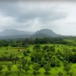 Kalpataru Aria Land for sale