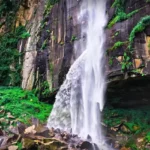 Kalpataru Aria Waterfalls Karjat