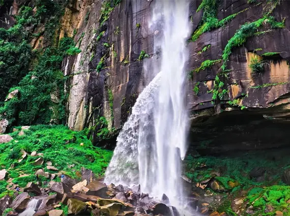 Kalpataru Aria Waterfalls Karjat