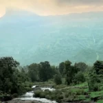 Khandala Valley Mist