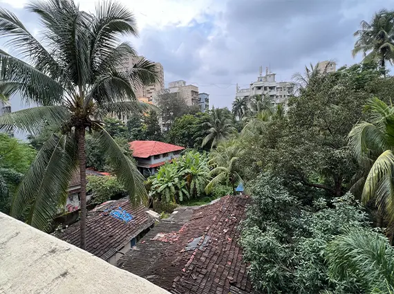 View from Balcony of Rita Villa Amboli