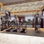 F Row Villas Paud Pune 3 BHK Gym