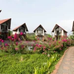 Kenisha Resort Residences Jambhulpada Khopoli 1 BHK Villas Cluster Set Amongst Lawns