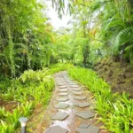 Kenisha Resort Villas Jambhulpada Khopoli Green Pathway