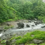 Kenisha Resort Villas Jambhulpada Khopoli Greenery outside