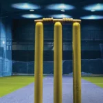 Aga Hall Estate Mazgaon Box Cricket Arena