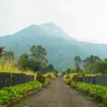 Botanika Living Plots Karjat Scenic Views Of Green Hillscape