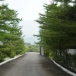 Botanika Living Plots Karjat Scenic Views Of Forest Approach