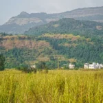Botanika Living Plots Karjat Scenic Views Of Open Farmland