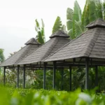 Botanika Living Plots Karjat Nature Pavilion Villa