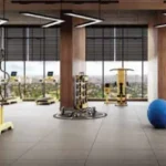 Paradigm Anantaara Borivali 3 BHK Balcony With Outdoor Seating And Plants