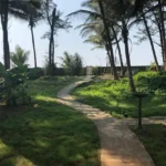 Beach Villa Farmhouse Kashid Beach Curved Path leading to Beach