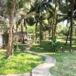 Kashid Beach waterfront Villa with Dense Coconut Groves