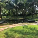 Kashid Beachfront Villa with Water Body