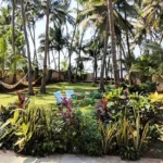 4 BHK Villa Kihim Beach Alibaug Greenery