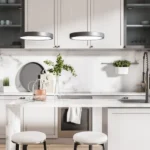 Park 55 Shivaji Park Dadar West 2 BHK Clean Marble Island Kitchen