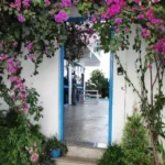 4 BHK Villa Casa De Santorini Varsoli Alibaug Flower Covered Garden Entrance Walkway
