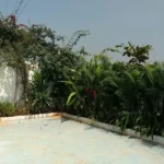 4 BHK Villa Casa De Santorini Varsoli Alibaug Open Lawn With Tropical Plantation