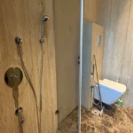 5 BHK Windsor Grande Oshiwara Rental Bathroom With Glass Shower