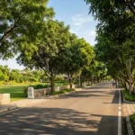 Birla Estates Boisar Luxury Plots Internal Roads With Tree Plantation Clear Plot Markings And Infrastructure
