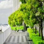 Esquina Link Road Lokhandwala Andheri West Landscape Garden With Green Walkway Plants And Relaxing Outdoor Space