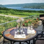 Good Earth Villas Igatpuri Nashik Outdoor Deck Seating With Valley View Greenery And Relaxing Lifestyle Experience