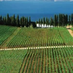 Good Earth Villas Igatpuri Nashik Scenic Farmland View With Lush Greenery Open Land And Peaceful Surroundings