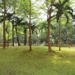 Hiranandani Gardens Richmond Tower Powai Tree Lined Green Landscape Garden