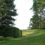 Icon By Merx Jacob Circle Mahalaxmi 3 BHK Garden Landscape With Open Green Area Trees And Peaceful Outdoor Space