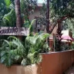 Saudades Beach Bungalow Candolim Goa 3 BHK Signboard Palm Lined Tropical Entrance