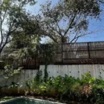 Vianaar La Selva Assagao Goa 4 BHK Backyard Garden With Pool Edge