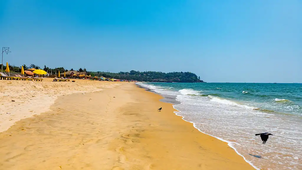 Candolim Beach Goa