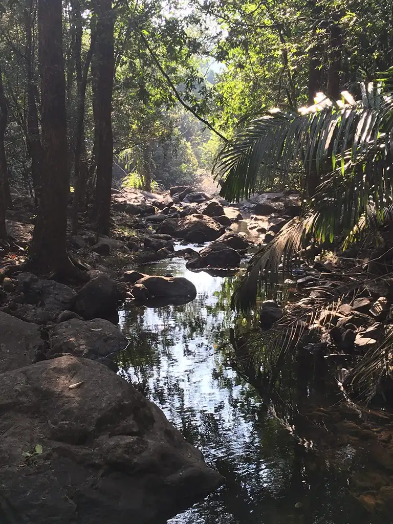 Mollem National Park Goa