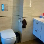 3 BHK Kuvar House Colaba Bathroom with Toilet and Vanity