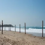 Carissa Sea facing NA Plots Guhagar beach with wooden posts and waves