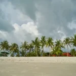 Carissa Sea facing NA Plots Guhagar palm lined sandy beach