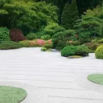 Celestria New Palm Beach Airoli Stone Path Bonsai Tree Moss Patch Landscaped Garden