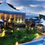 Kiran Canary Forest Plots Aamby Valley Ground Lit Palm Garden Night Lit Outdoor Venue