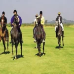 Kiran Canary Forest Plots For Sale Aamby Valley Open Ground Equestrian Trail Activity