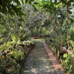 3 BHK Beach Villa Nagaon Garden Pathway with Lush Plants