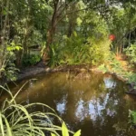 3 BHK Beach Villa Nagaon Garden Pond with Landscaping
