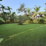 3 BHK Beach Villa Nagaon Open Lawn with Coconut Trees