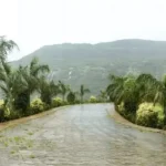 Foris Aqua NA Plots Kamshet Palm Lined Hillside Road