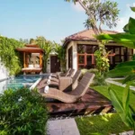 Asaya 4 BHK Villas Assagao Goa Beautiful Modern Comfortable Home With Pool Side Tropical Plants
