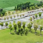Violet Hill Alibaug Plotted Land Sale Landscaped Access Road