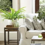 6 BHK Villa Chopdem Goa Living Room Sofa with Patterned Cushions