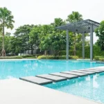 4 BHK Isprava Villa Viastro Pernem Goa Swimming Pool with Stepping Stones and Pergola