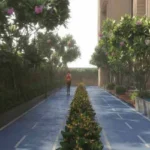 One Vara Goregaon Tree-Lined Jogging And Walking Path Bordered By Blooming Plumeria Flowers